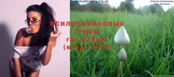 ECSTASY Богданович