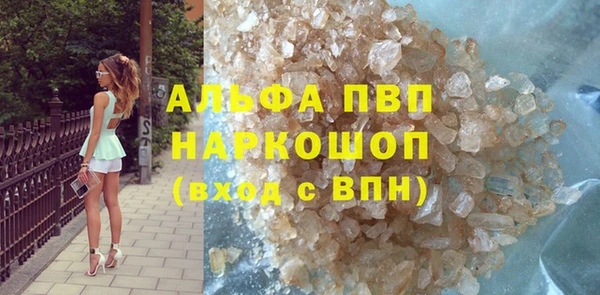 ECSTASY Богданович