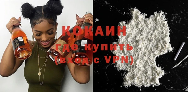 ECSTASY Богданович