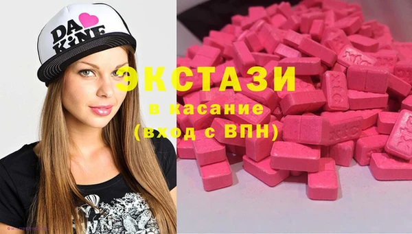 ECSTASY Богданович