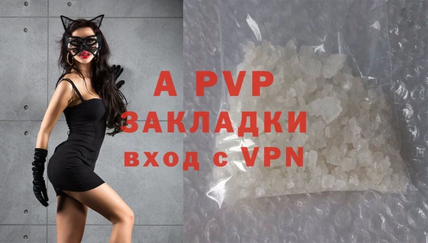 ECSTASY Богданович