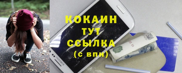 ECSTASY Богданович